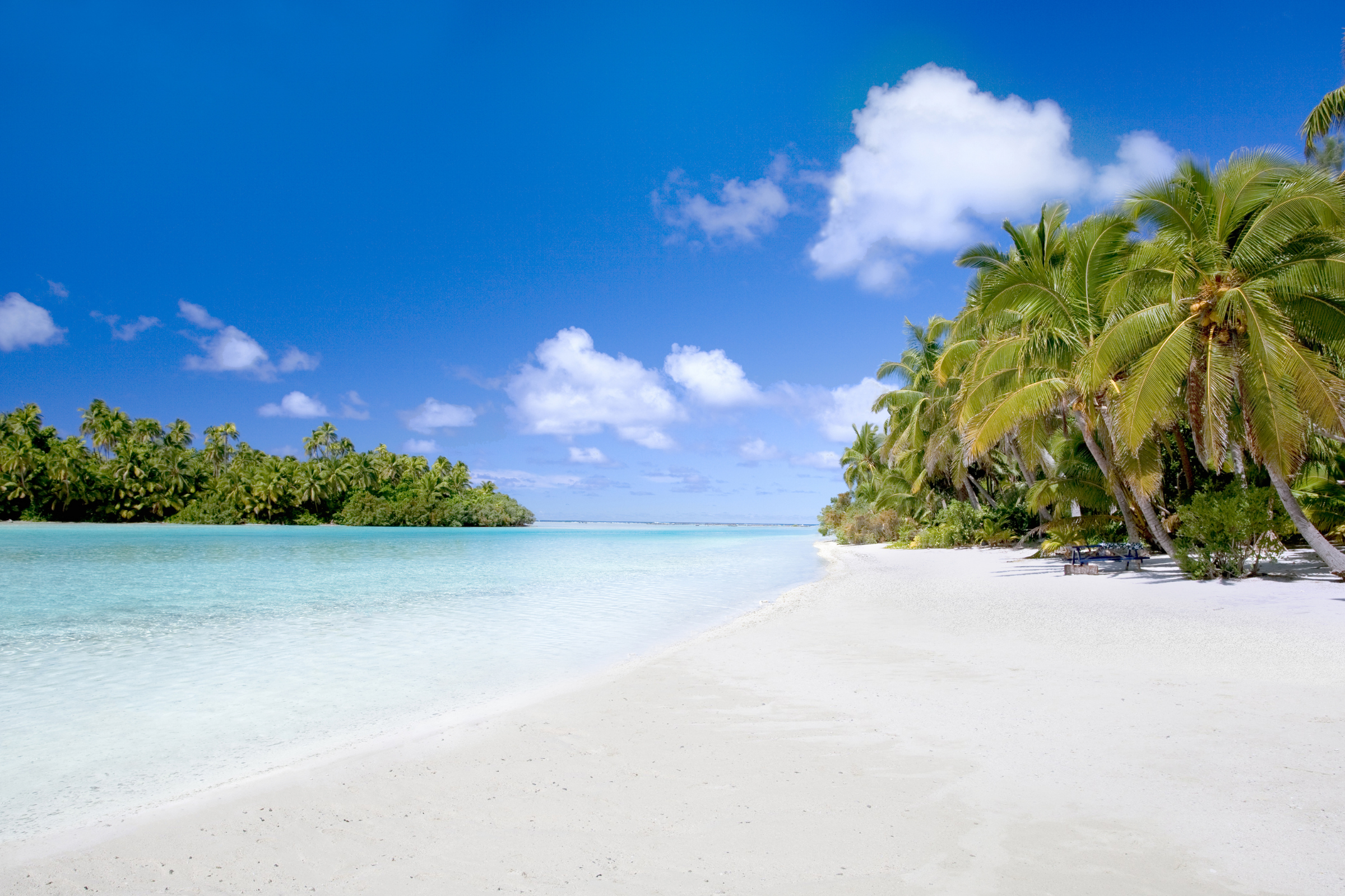 palmerston island (3).webp